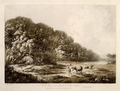 Widok na wyspę Pulo Condor, z „Widoków na morzach południowych”, wyd. 1792 (akwaforta) autorstwa John Webber