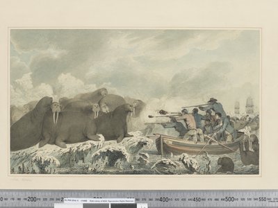 F.32 Konie morskie, ok.1773-84 (akwarela) autorstwa John Webber