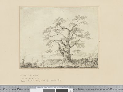 F.44 Widok na brzeg morza, duże drzewo pośrodku, ok.1783-84 autorstwa John Webber