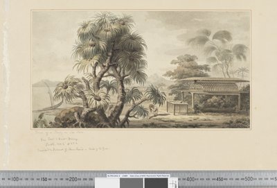 F.46 Widok grobowca na brzegu morza, ok.1783-84 (akwarela) autorstwa John Webber