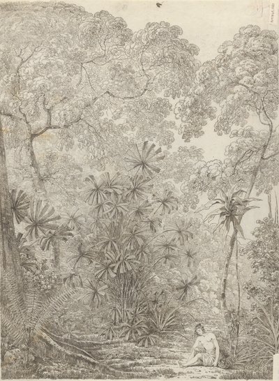 Wachlarzowa Palma Krakatau autorstwa John Webber