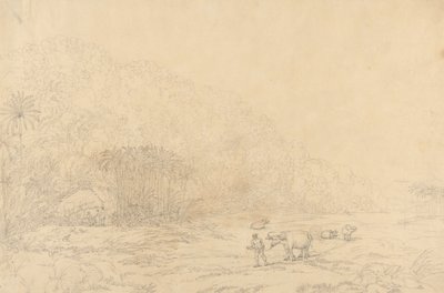 Widok na wyspie Pulo Condore autorstwa John Webber
