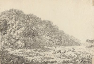 Widok na wyspie Pulo Condore autorstwa John Webber