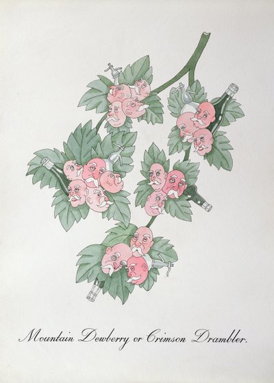 Mountain Dewberry lub Crimson Drambler, ilustracja z „Fałszywej księgi botaniki” Johna Weira autorstwa John Weir