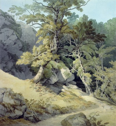 Canonteign, Devon autorstwa John White Abbott