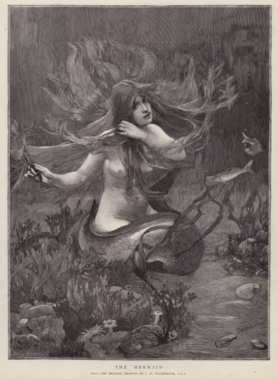 Syrenka (lito) autorstwa John William (after) Waterhouse