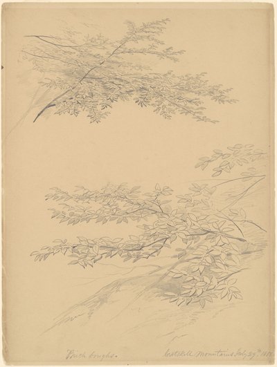 Konary brzozowe, góry Catskill autorstwa John William Casilear