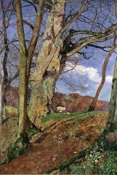 Studium, w marcu, wystawione 1855 autorstwa John William Inchbold