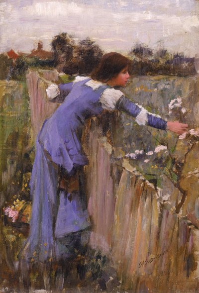 Zbieracz kwiatów autorstwa John William Waterhouse
