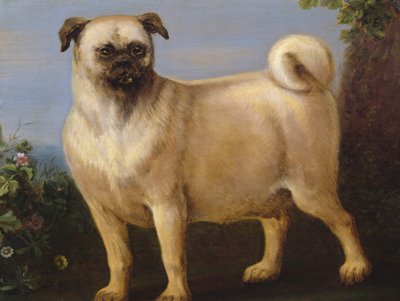 Mops w krajobrazie autorstwa John Wootton