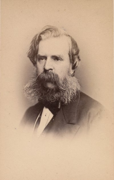 Alexander Johnston, lata 60. XIX wieku. autorstwa John and Charles Watkins