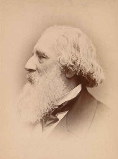 [John Frederick Lewis], lata 60. XIX wieku. autorstwa John and Charles Watkins