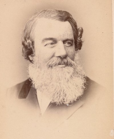 [Temat nieznany], lata 60. XIX wieku. autorstwa John and Charles Watkins