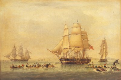 Wielorybniki z rybołówstwa na morzach południowych, autorstwa John of Hull Ward