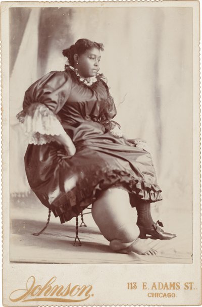 Portret kobiety, ok. 1890 (zdjęcie) autorstwa Johnson