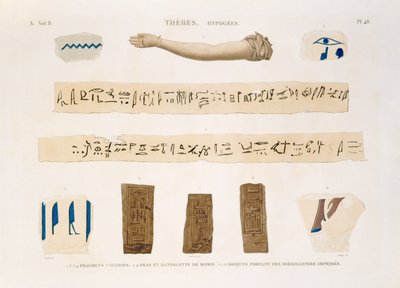 Ilustracje hieroglifów i ramienia mumii z Hypogees, Teby, tablica 48 z tomu II "Opisów Egiptu", rytowane przez Karola, 1822 (akwatinta) autorstwa Jomard