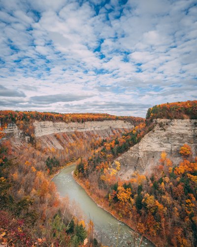 Jesienne kolory w wąwozie w Letchworth State Park, w stanie Nowy Jork, USA (zdjęcie ilustracyjne) autorstwa Jon Bilous