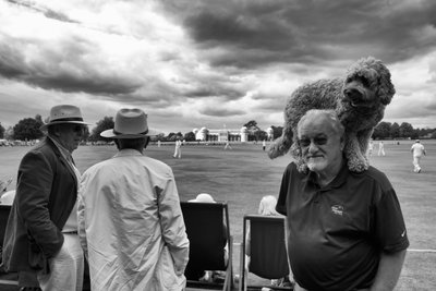 Posiadłość Goodwood w West Sussex, Wielka Brytania, 2018 r. (zdjęcie ilustracyjne) autorstwa Jon Nicholson