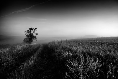 Posiadłość Goodwood w West Sussex, Wielka Brytania, 2019 r. (zdjęcie) autorstwa Jon Nicholson