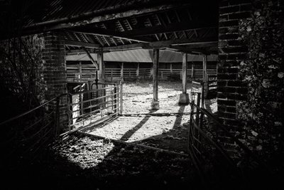 Posiadłość Goodwood w West Sussex, Wielka Brytania, 2019 r. (zdjęcie) autorstwa Jon Nicholson