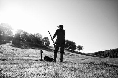 Posiadłość Goodwood w West Sussex, Wielka Brytania, 2019 r. (zdjęcie) autorstwa Jon Nicholson