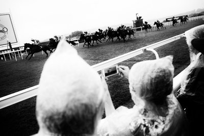 Posiadłość Goodwood w West Sussex, Wielka Brytania, 2019 r. (zdjęcie) autorstwa Jon Nicholson