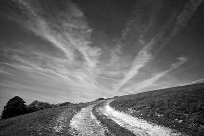 Posiadłość Goodwood w West Sussex, Wielka Brytania, 2019 r. (zdjęcie) autorstwa Jon Nicholson