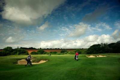 Posiadłość Goodwood w West Sussex, Wielka Brytania, 2019 r. (zdjęcie) autorstwa Jon Nicholson