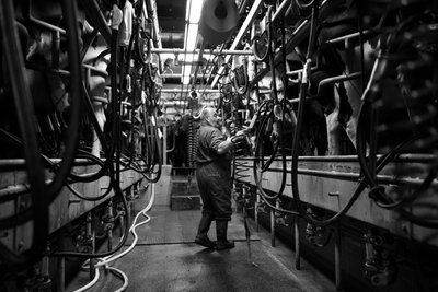 Posiadłość Goodwood w West Sussex, Wielka Brytania, 2019 r. (zdjęcie) autorstwa Jon Nicholson