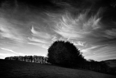 Posiadłość Goodwood w West Sussex, Wielka Brytania, 2019 r. (zdjęcie) autorstwa Jon Nicholson