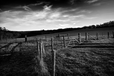 Posiadłość Goodwood w West Sussex, Wielka Brytania, 2019 r. (zdjęcie) autorstwa Jon Nicholson