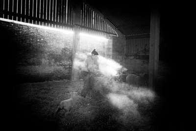 Posiadłość Goodwood w West Sussex, Wielka Brytania, 2020 r. (zdjęcie) autorstwa Jon Nicholson