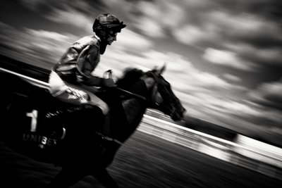 Posiadłość Goodwood w West Sussex, Wielka Brytania, 2020 r. (zdjęcie) autorstwa Jon Nicholson