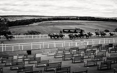 Posiadłość Goodwood w West Sussex, Wielka Brytania, 2020 r. (zdjęcie) autorstwa Jon Nicholson