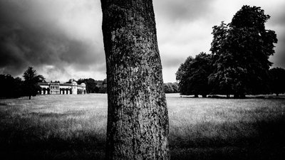 Posiadłość Goodwood w West Sussex, Wielka Brytania, 2020 r. (zdjęcie) autorstwa Jon Nicholson