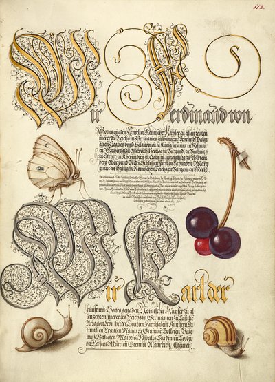Motyl, czereśnia i ślimaki lądowe autorstwa Joris Hoefnagel