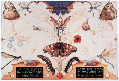 Dyptyk z kwiatami i owadami, 1591. autorstwa Joris Hoefnagel