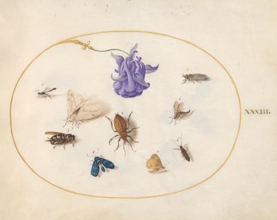 Owady, ok. 1575-80 autorstwa Joris Hoefnagel