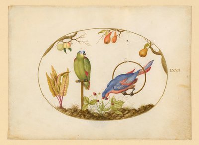  autorstwa Joris Hoefnagel
