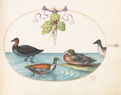 autorstwa Joris Hoefnagel
