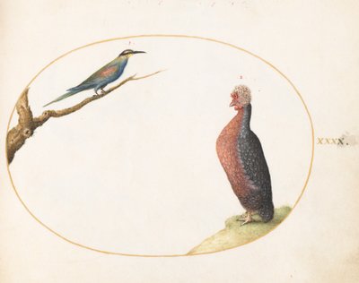  autorstwa Joris Hoefnagel