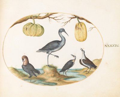  autorstwa Joris Hoefnagel
