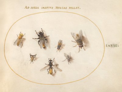 Płyta 68: Siedem pszczół i much autorstwa Joris Hoefnagel