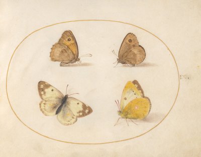  autorstwa Joris Hoefnagel