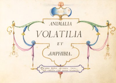 Strona tytułowa autorstwa Joris Hoefnagel