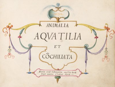 Strona tytułowa autorstwa Joris Hoefnagel