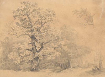Badanie drzew autorstwa Josef Kriehuber