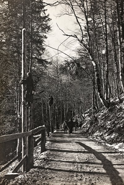 Album "Moja wojna światowa - wspomnienia Frontu Południowo-Zachodniego w Karyntii, Włochy, Trentino-Alto Adige) 31.03.1915-12.11.1918 - Josef Zohles Wiedeń": żołnierze do pracy (b/w foto autorstwa Josef Zohles