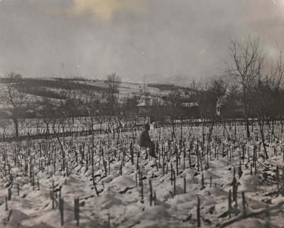 Album "Moja wojna światowa - wspomnienia Frontu Południowo-Zachodniego w Karyntii, Włochy, Trentino-Alto Adige) 31.03.1915-12.11.1918 - Josef Zohles Vienna": Cmentarz wojskowy (b/w fot. autorstwa Josef Zohles