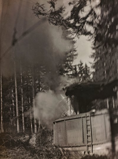 Album "Moja wojna światowa - wspomnienia Frontu Południowo-Zachodniego w Karyntii, Włochy, Trentino-Alto Adige) 31.03.1915-12.11.1918 - Josef Zohles Vienna": moździerz Morser w akcji ( autorstwa Josef Zohles